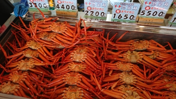 f:id:bakafutomon:20200719123845j:image