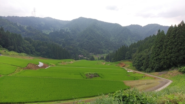 f:id:bakafutomon:20200803125807j:image f:id:bakafutomon:20200803125807j:image