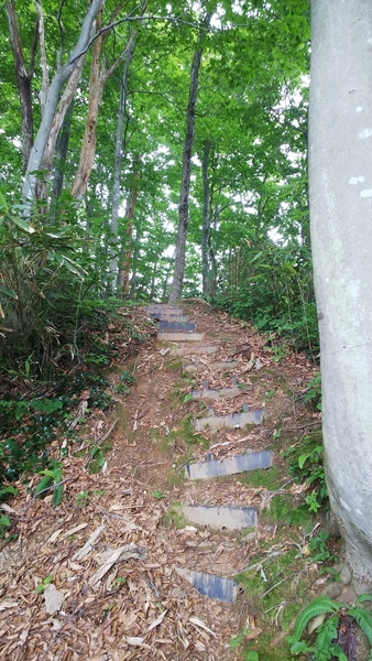 f:id:bakafutomon:20200807111732j:image f:id:bakafutomon:20200807111732j:image