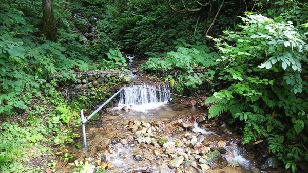 f:id:bakafutomon:20200917120131j:image