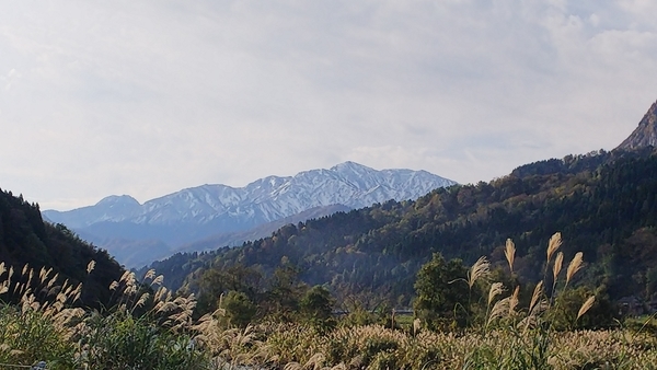f:id:bakafutomon:20201101081609j:image
