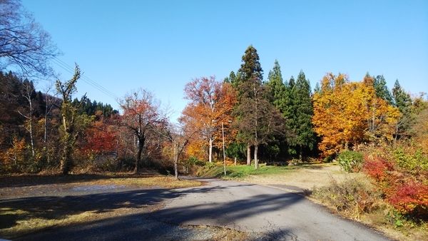 f:id:bakafutomon:20201112131233j:image