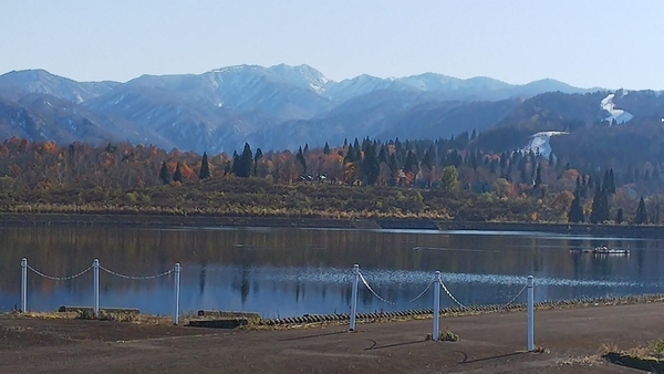 f:id:bakafutomon:20201112133620j:image