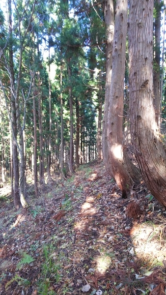f:id:bakafutomon:20201114110905j:image