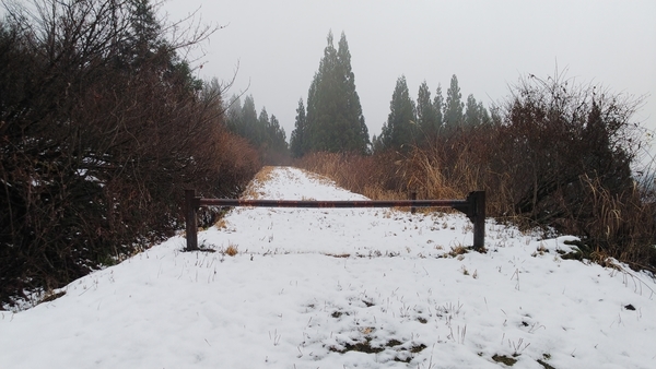 f:id:bakafutomon:20201130104120j:image