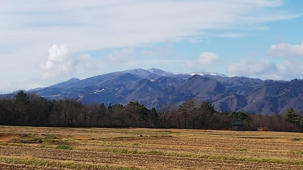 f:id:bakafutomon:20201209104729j:image