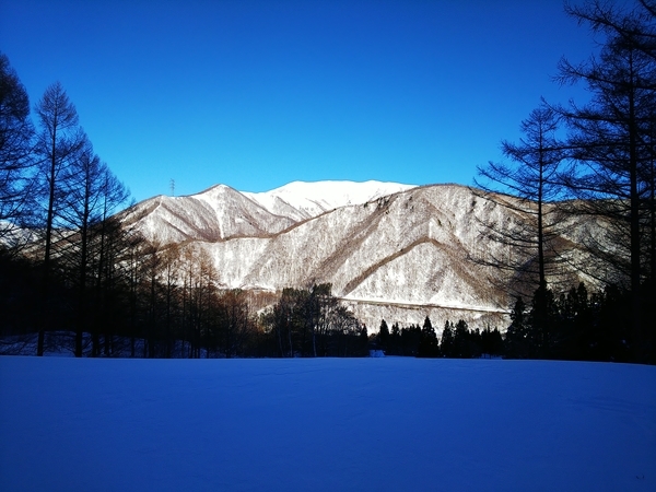 f:id:bakafutomon:20210120150407j:image
