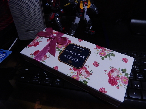 f:id:bakafutomon:20210214150323j:image