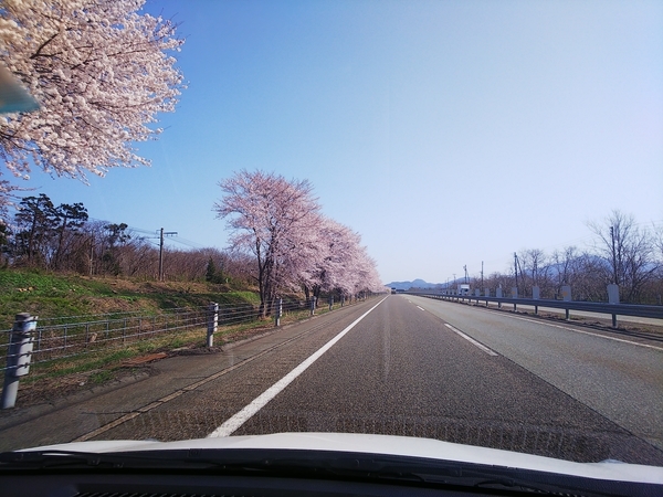 f:id:bakafutomon:20210401091453j:image