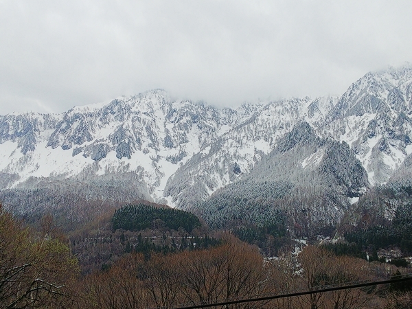 f:id:bakafutomon:20210419073613j:image
