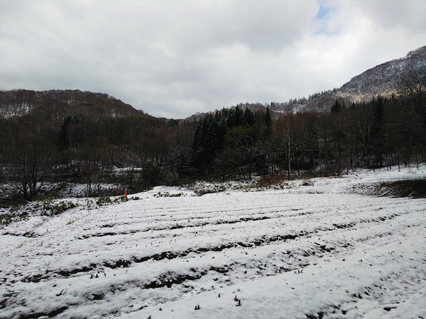 f:id:bakafutomon:20210419082527j:image