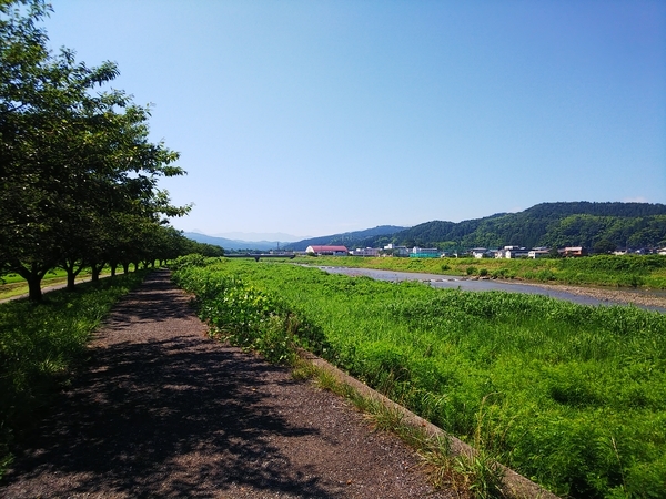 f:id:bakafutomon:20210717094413j:image