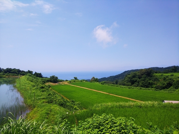 f:id:bakafutomon:20210718125231j:image