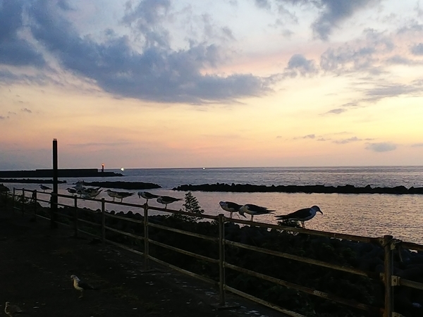 f:id:bakafutomon:20210827183743j:image