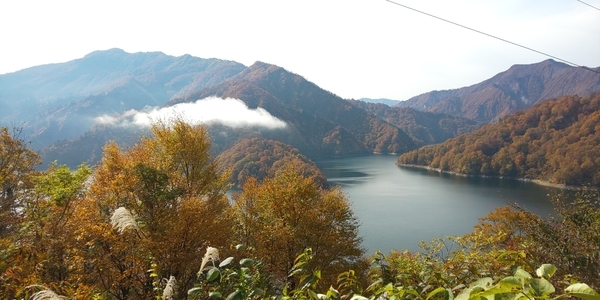 f:id:bakafutomon:20211101095443j:image