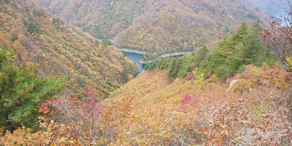 f:id:bakafutomon:20211102124027j:image