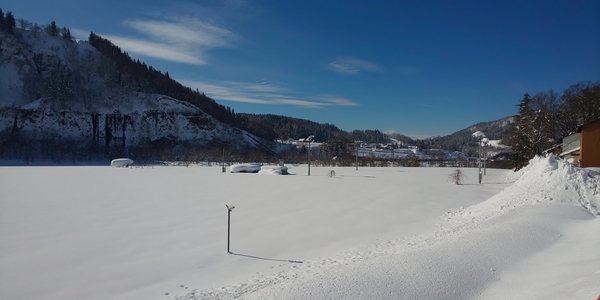 f:id:bakafutomon:20220119112540j:image