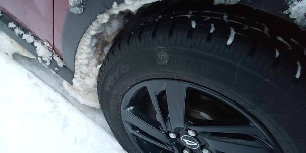 鉄のカーテンを攻略せよ 穏やかなる日々