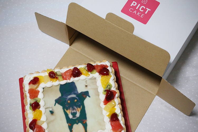 f:id:bake-pictcake:20170224163929j:plain f:id:bake-pictcake:20170224163929j:plain