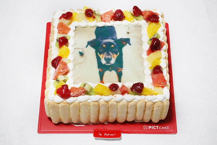 f:id:bake-pictcake:20170224163934j:plain f:id:bake-pictcake:20170224163934j:plain