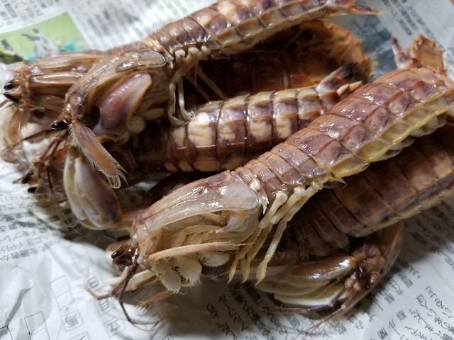 f:id:bakedfruits:20171126123528j:image f:id:bakedfruits:20171126123528j:image