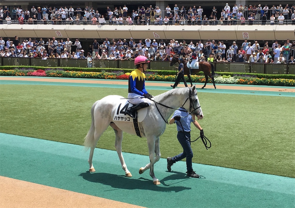 19 小倉記念 レパードステークス 感想戦 にわかが道をやってくる 19 小倉記念 レパードステークス 感想戦 にわかが道をやってくる