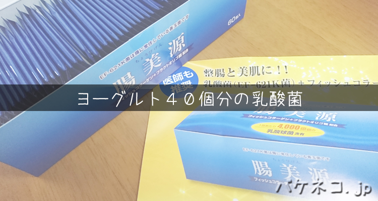 乳酸菌で自律神経が整った 首こり 肩こり 片頭痛 頭重 が治まった話 腸美源 バケネコ Jp