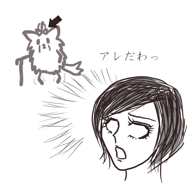 f:id:bakenekolabo:20200325224506j:plain