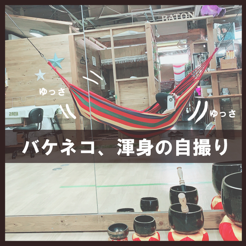 f:id:bakenekolabo:20200512201046j:plain