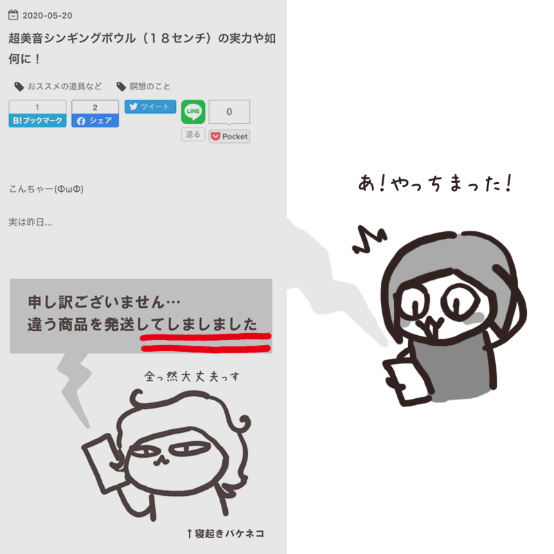 f:id:bakenekolabo:20200527125925j:plain