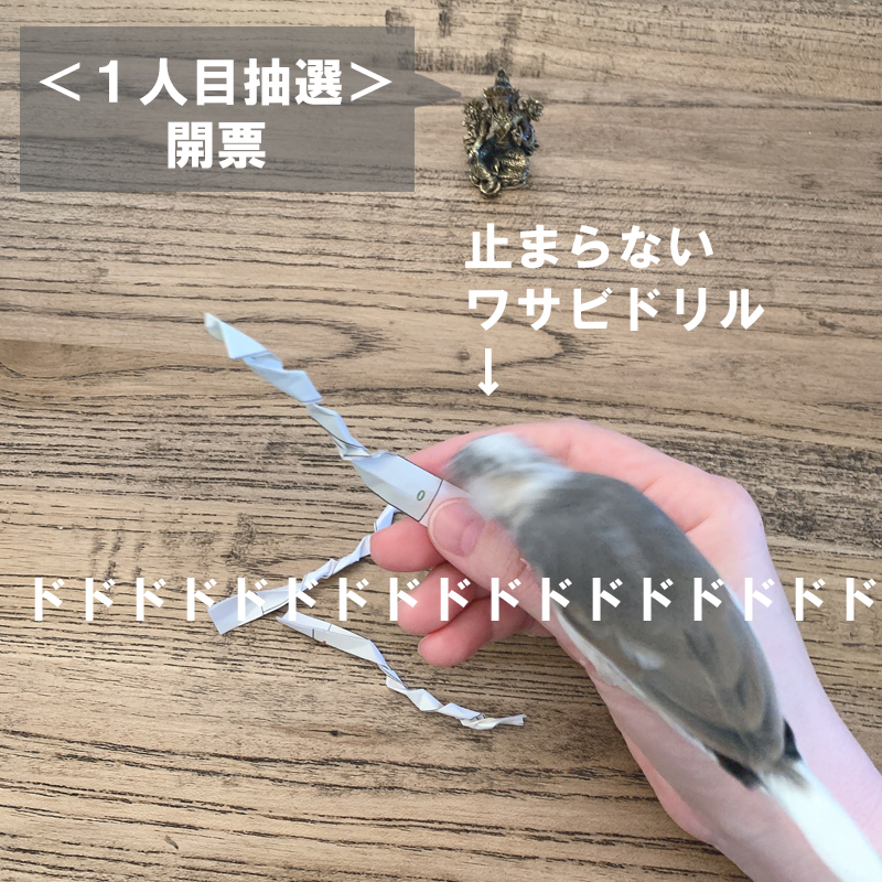 f:id:bakenekolabo:20200720151535j:plain