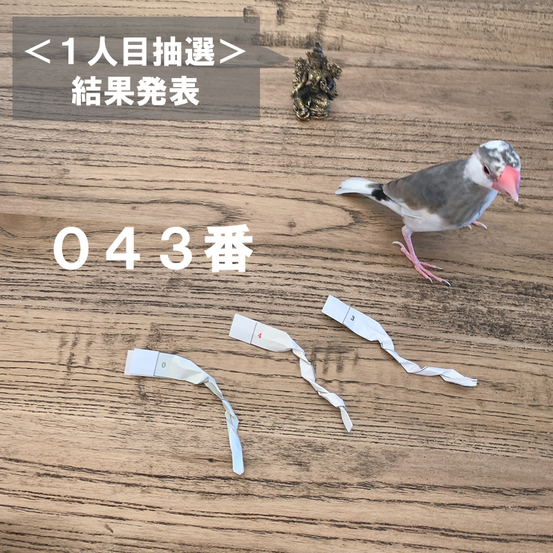 f:id:bakenekolabo:20200720151636j:plain