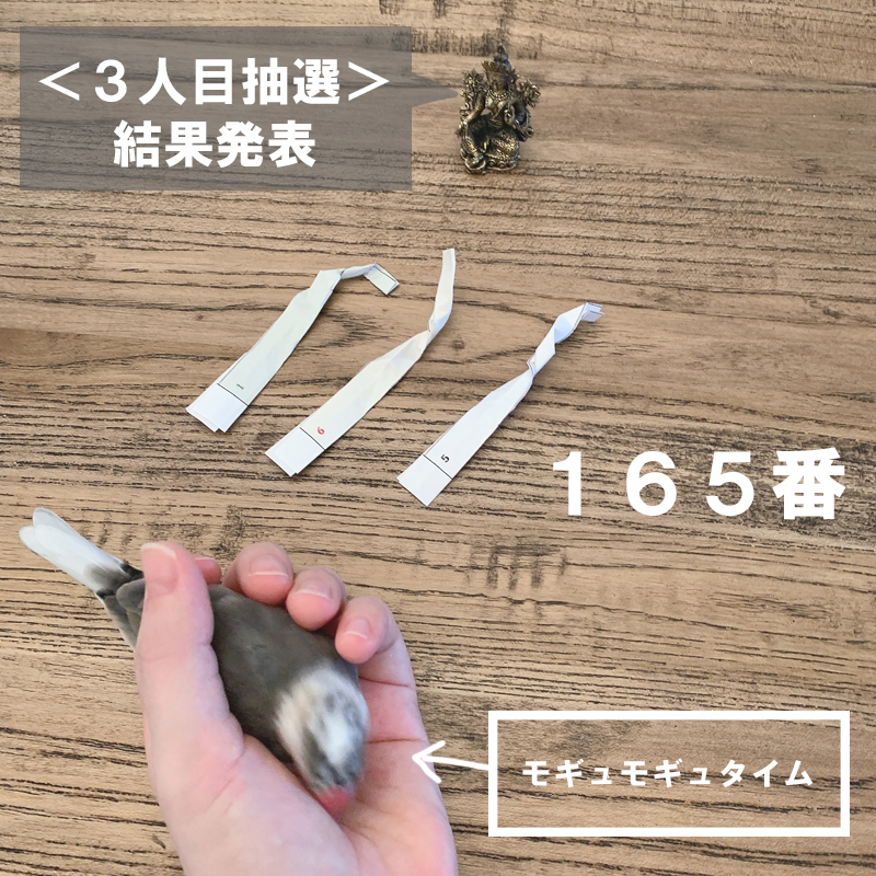 f:id:bakenekolabo:20200720153433j:plain