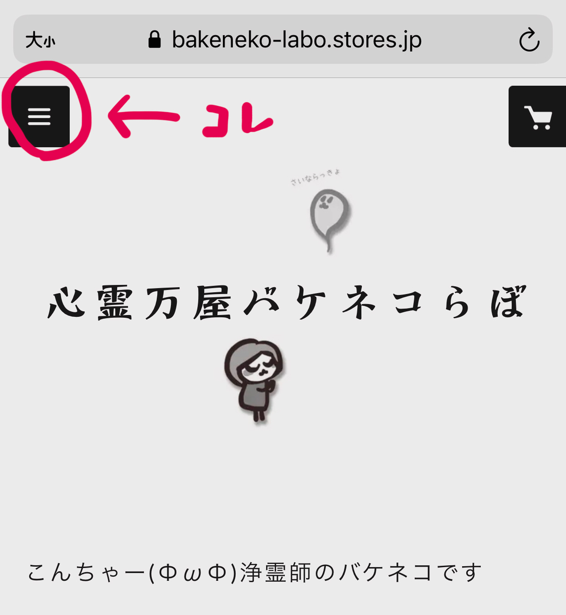 f:id:bakenekolabo:20201216202519j:plain