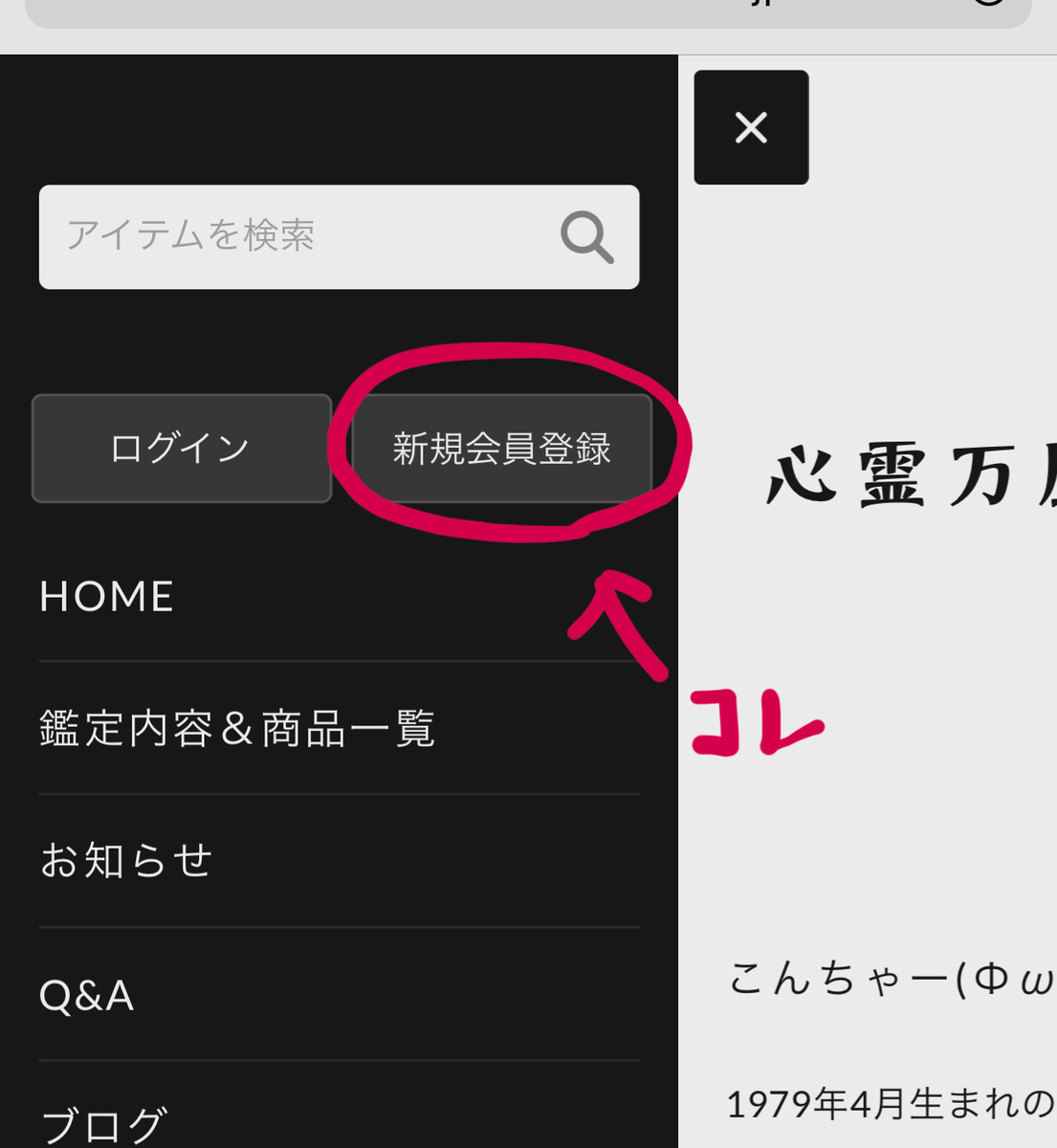 f:id:bakenekolabo:20201216205145j:plain