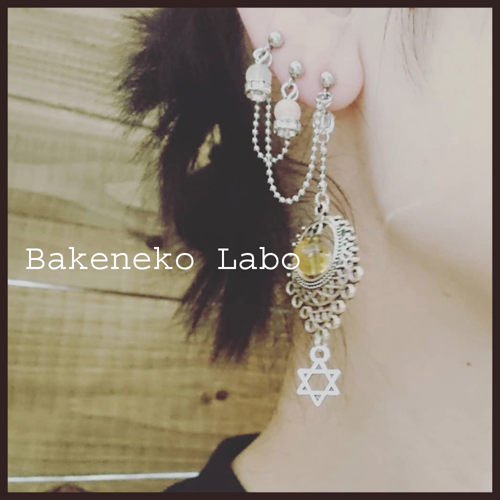 f:id:bakenekolabo:20201216210113j:plain