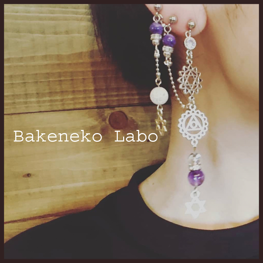 f:id:bakenekolabo:20201216210136j:plain
