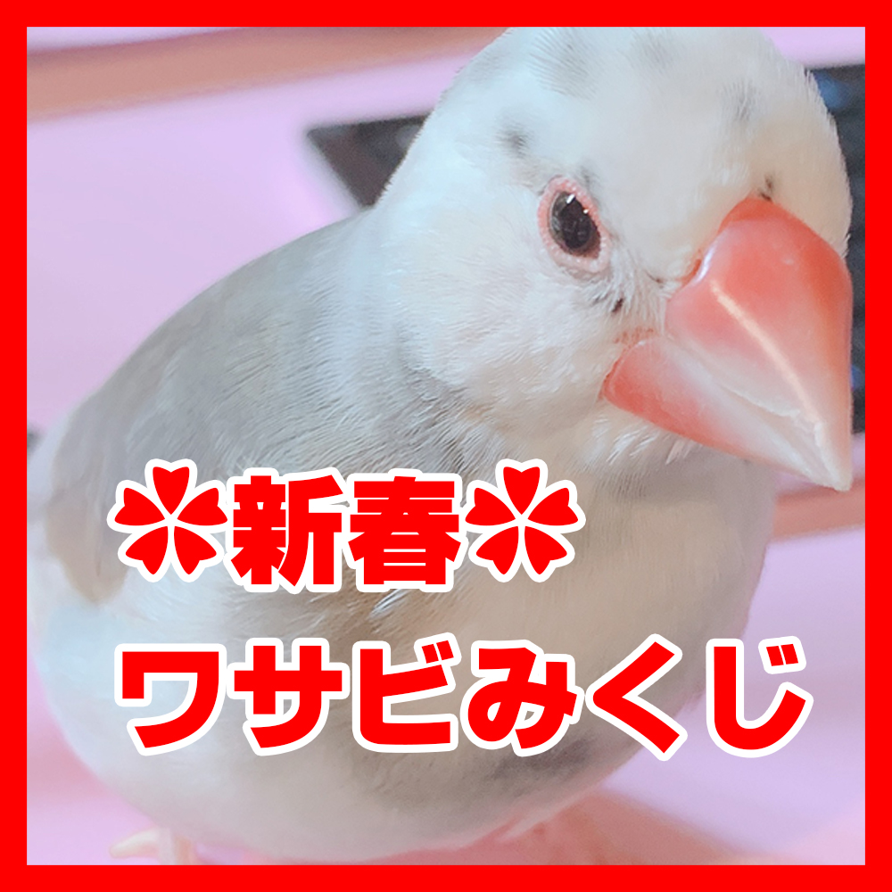 f:id:bakenekolabo:20210101214202j:plain