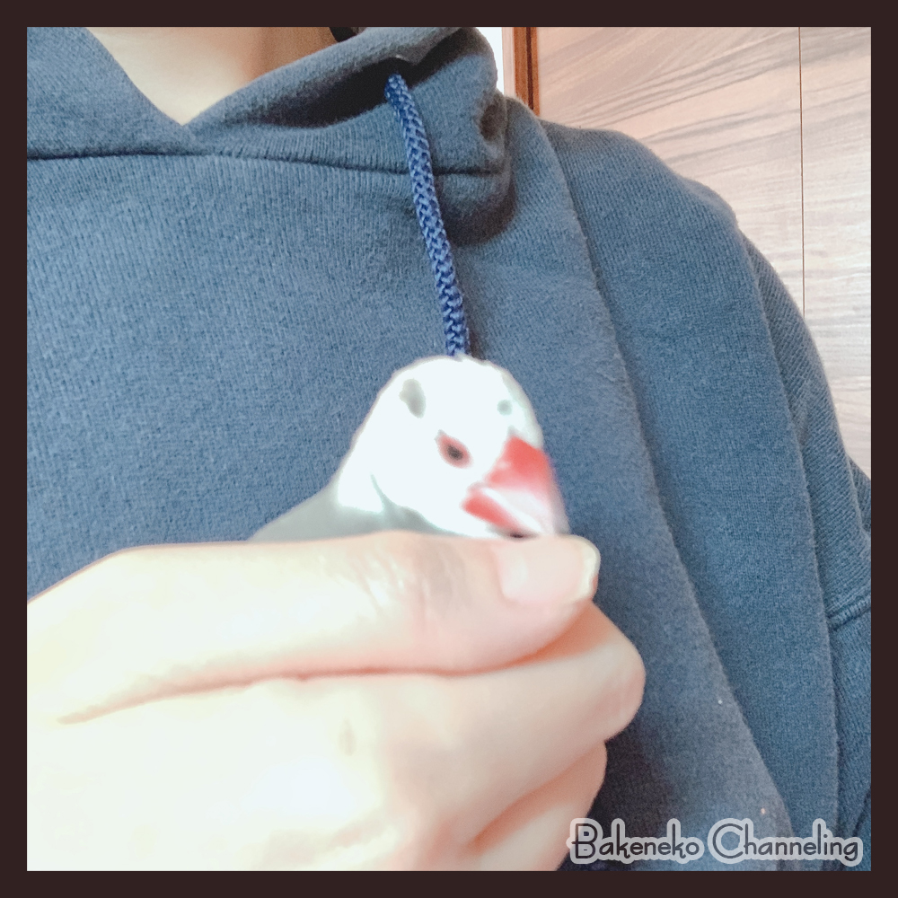 f:id:bakenekolabo:20210101215924j:plain