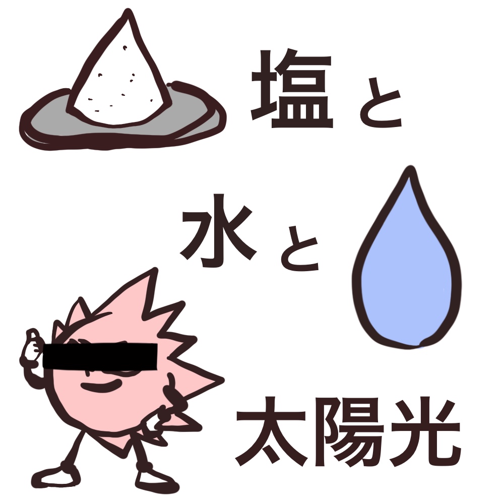 f:id:bakenekolabo:20210410194143j:plain