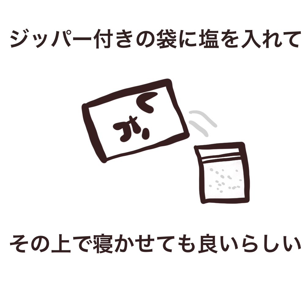 f:id:bakenekolabo:20210410200234j:plain