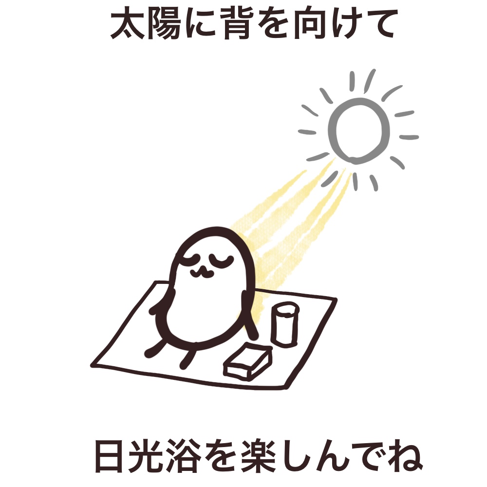 f:id:bakenekolabo:20210425221024j:plain