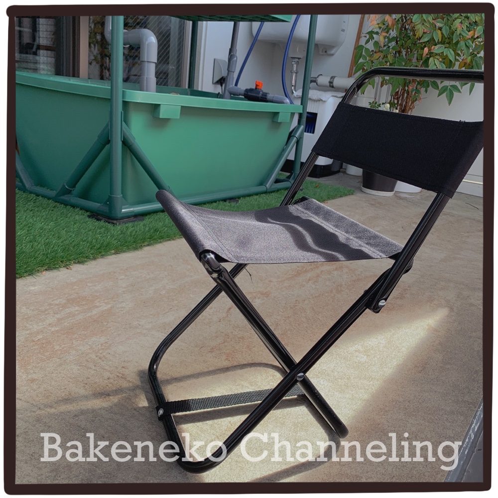f:id:bakenekolabo:20210515173842j:plain