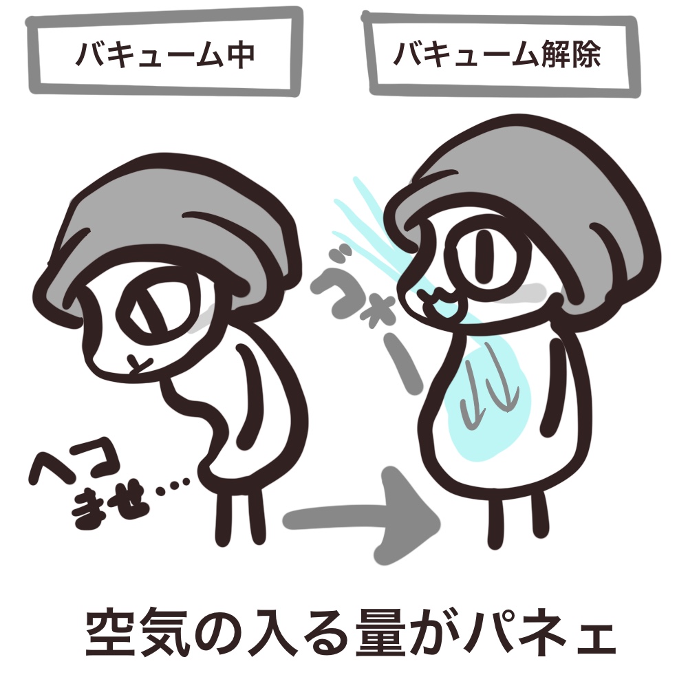 f:id:bakenekolabo:20210515202848j:plain