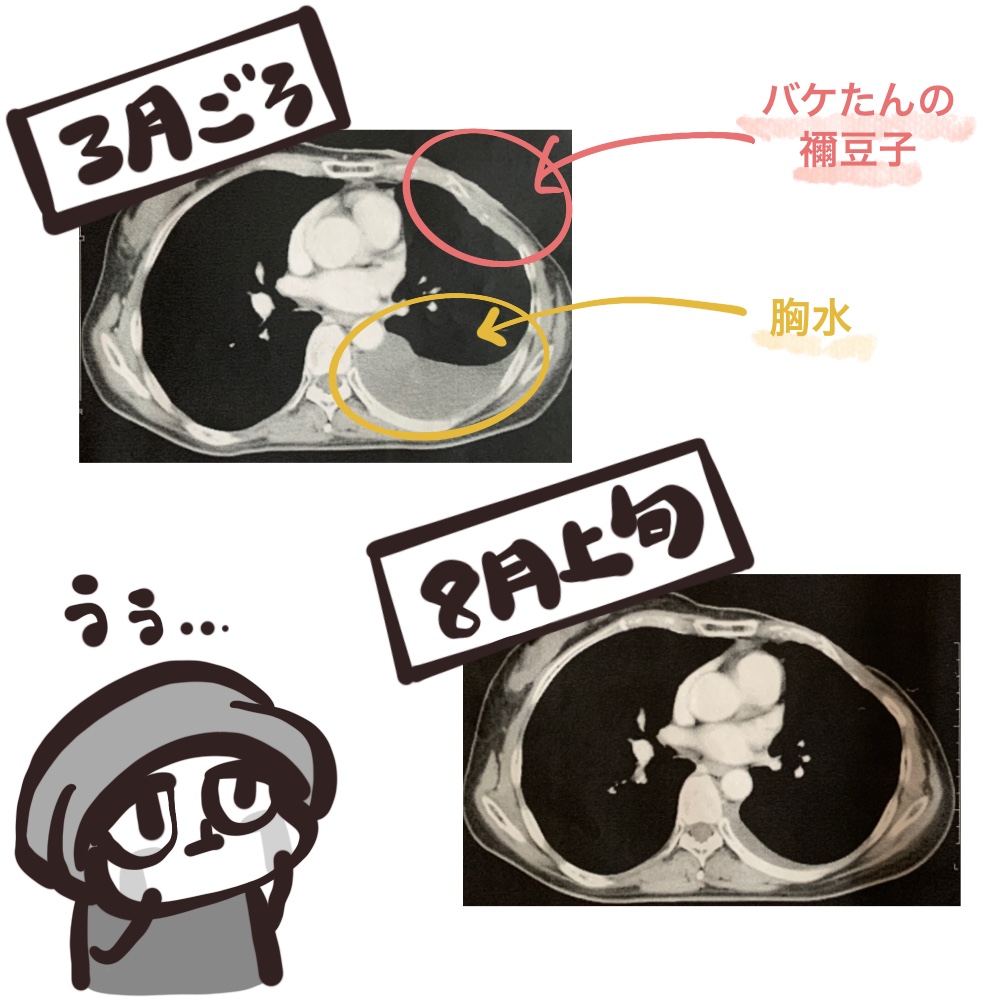 f:id:bakenekolabo:20210814142548j:plain