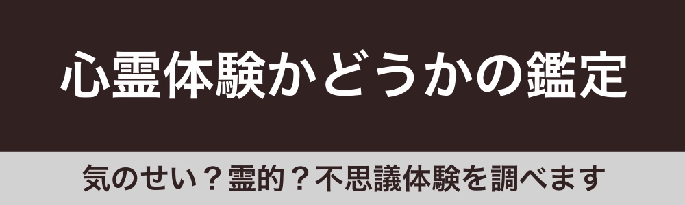 f:id:bakenekolabo:20210823230257j:plain