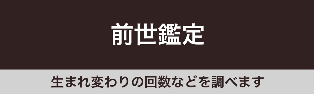 f:id:bakenekolabo:20210823230403j:plain