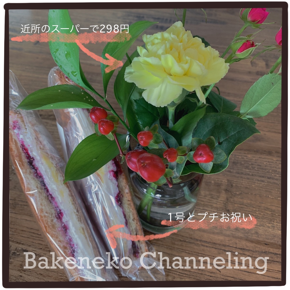 f:id:bakenekolabo:20210826151657j:plain