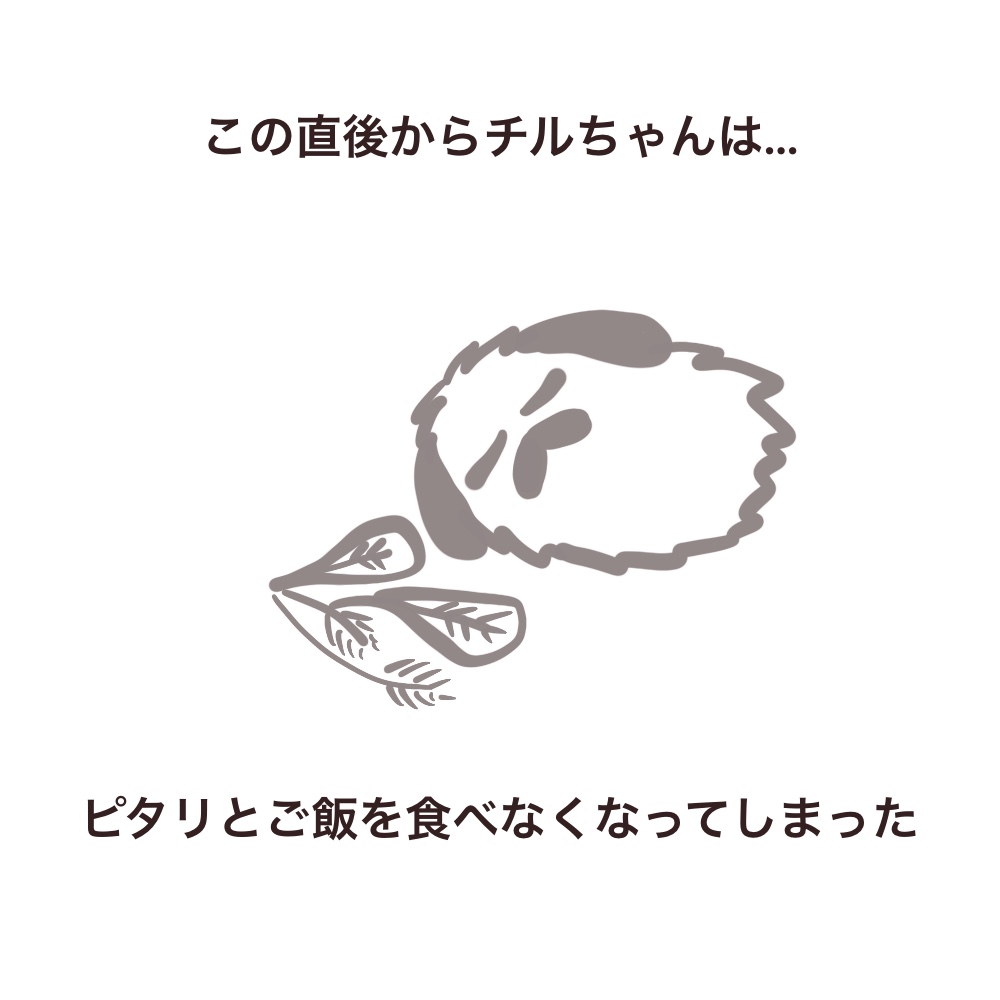 f:id:bakenekolabo:20210904195810j:plain