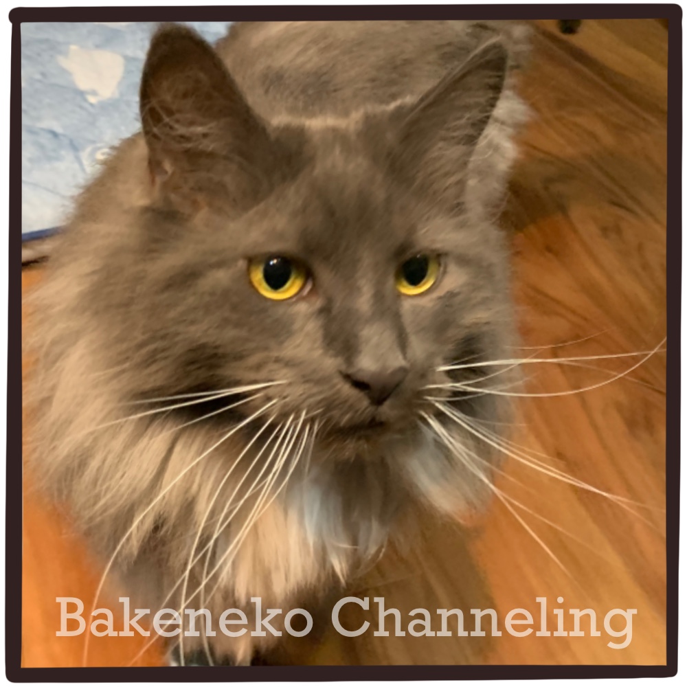 f:id:bakenekolabo:20210904205410j:plain